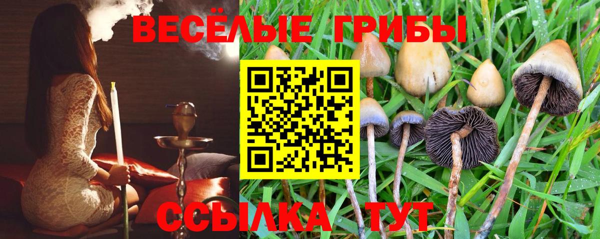 Наро-Фоминск  Галлюциногенные грибы MAGIC MUSHROOMS  Вход с VPN  Галлюциногенные грибы прущие грибы 